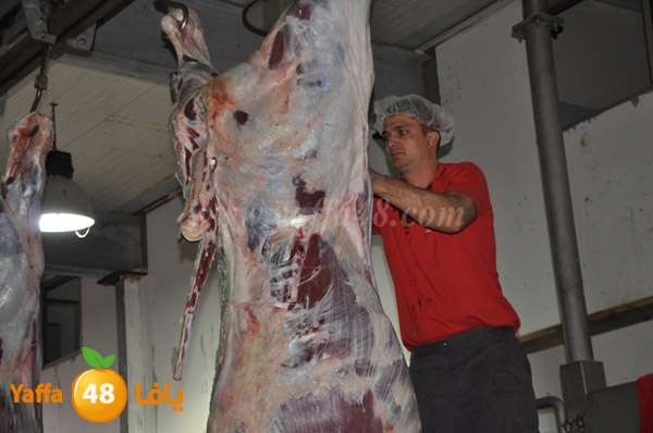 Jam3iya la7m3n (3).JPG